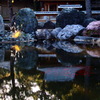 夕陽を受けて