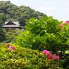 本堂を望む２