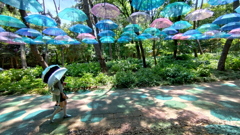 アンブレラスカイ①
