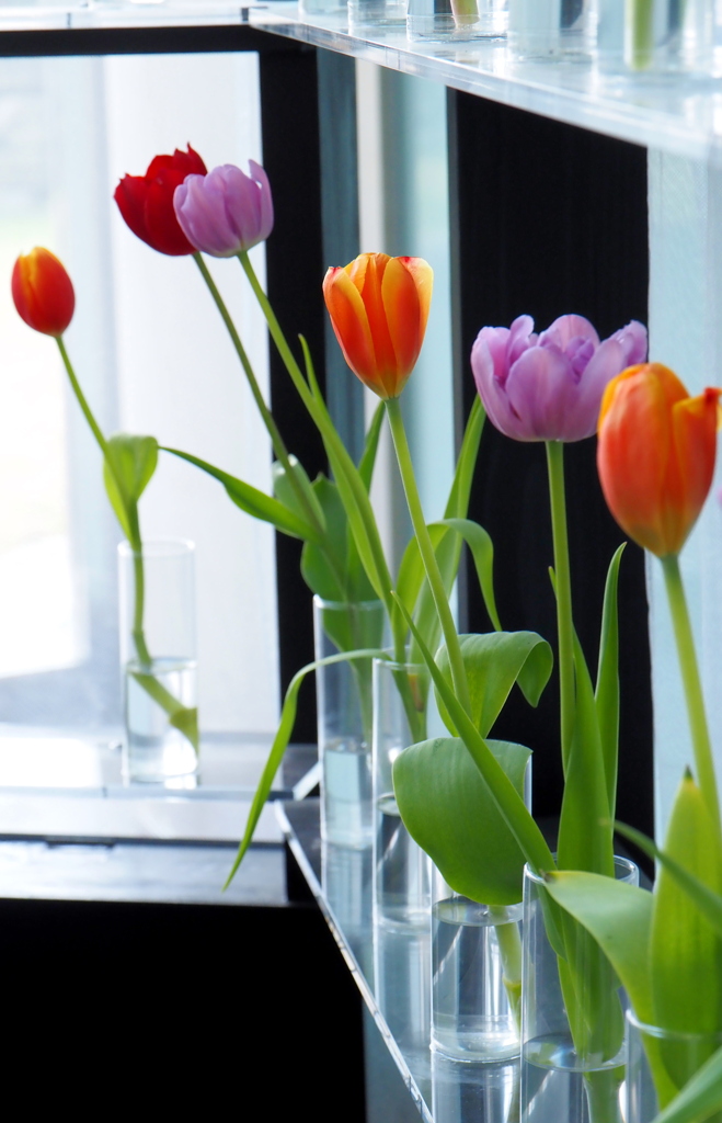 アイスチューリップ②