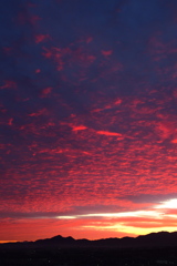 今朝の空