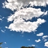 雲
