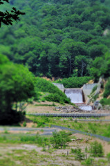 DSC_8571
