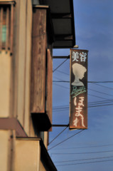 TOZ_2929