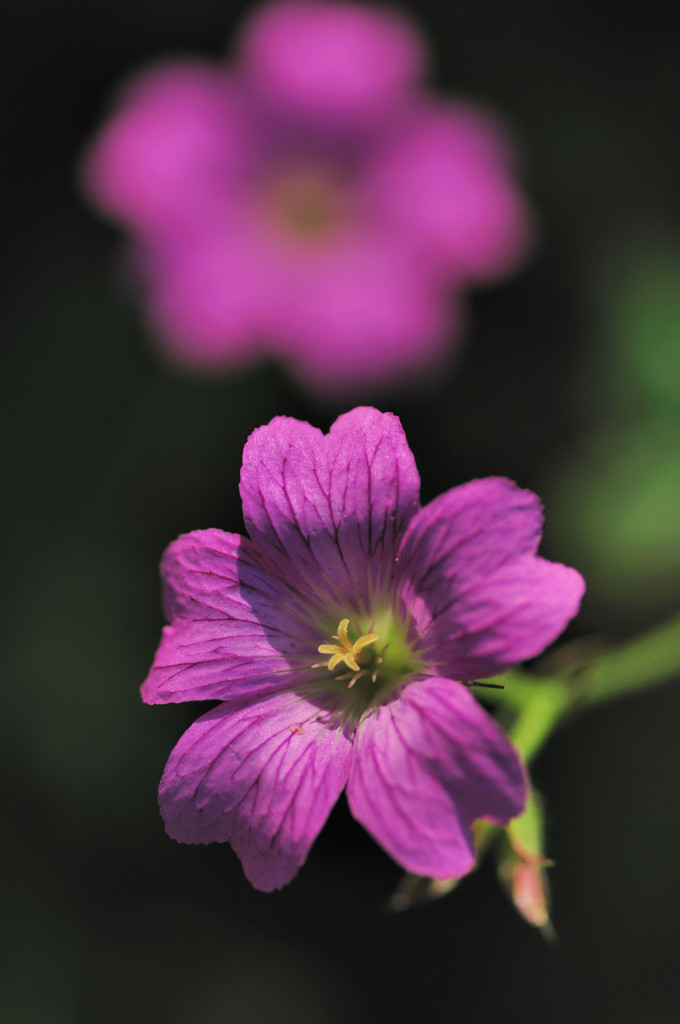 DSC_8878