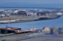 DSC_6477