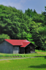 DSC_8558