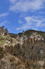TOZ_2779