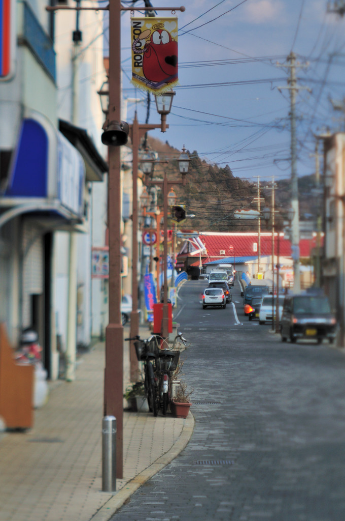 TOZ_2966