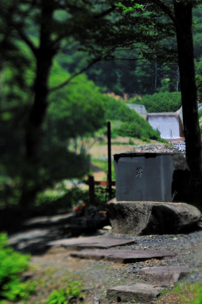 DSC_8570