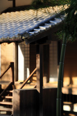TOZ_2813