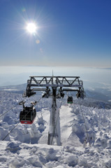 TOZ_1368