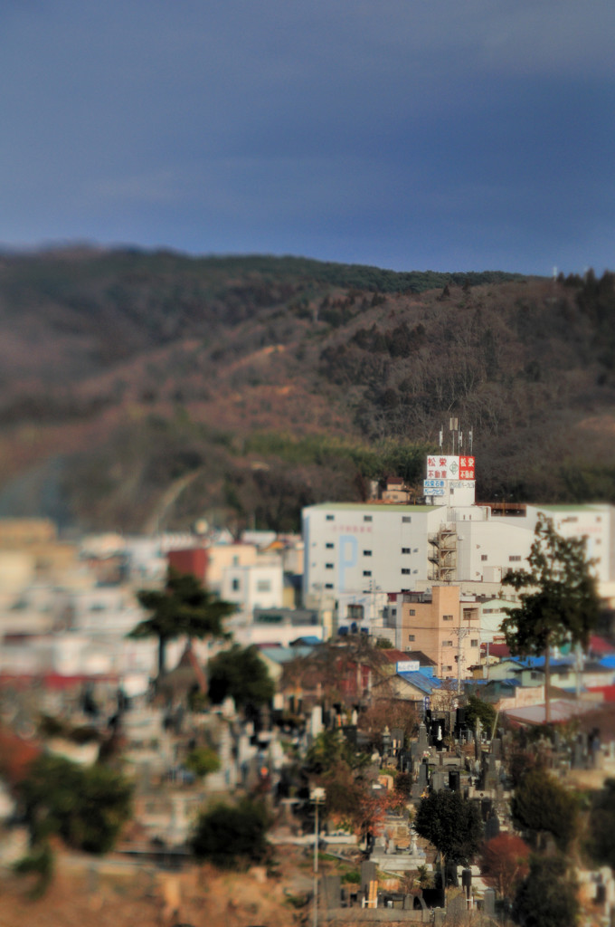 TOZ_2926