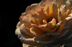 DSC_8829