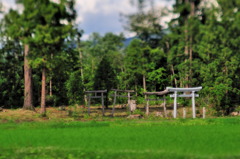 DSC_8782