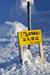 TOZ_1448