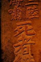 TOZ_2821