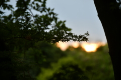 CC03A146-3988-4A4C-93F3-D3C346E61D97