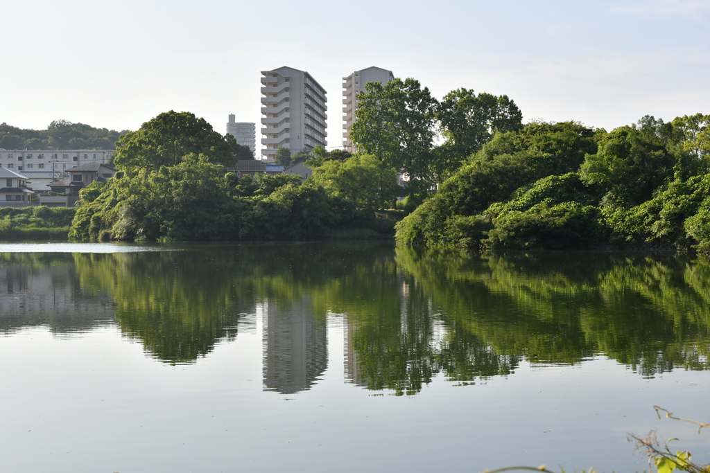 近くの公園2