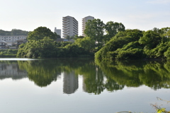 近くの公園2