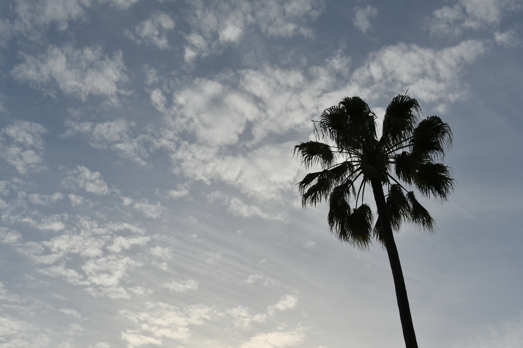 E6155690-4202-4F23-8E81-0F9F96DB25A4
