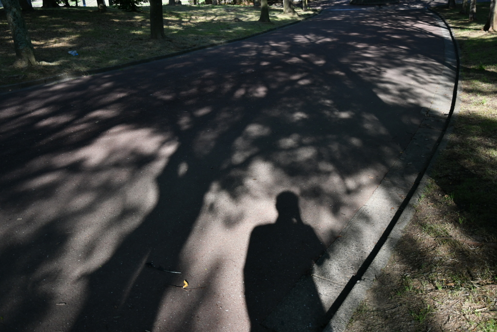 近くの公園4