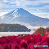 富士山秋景2022