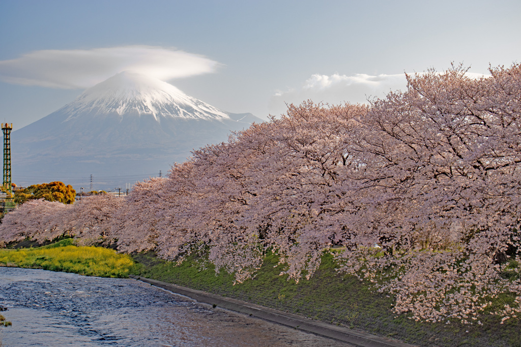 一年前