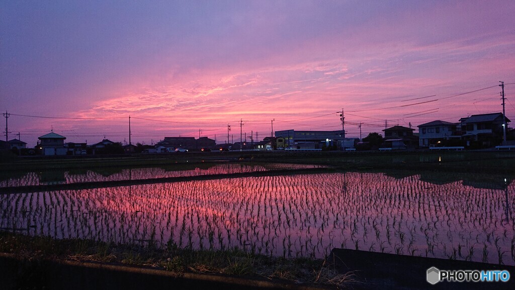 日常のリフレクション