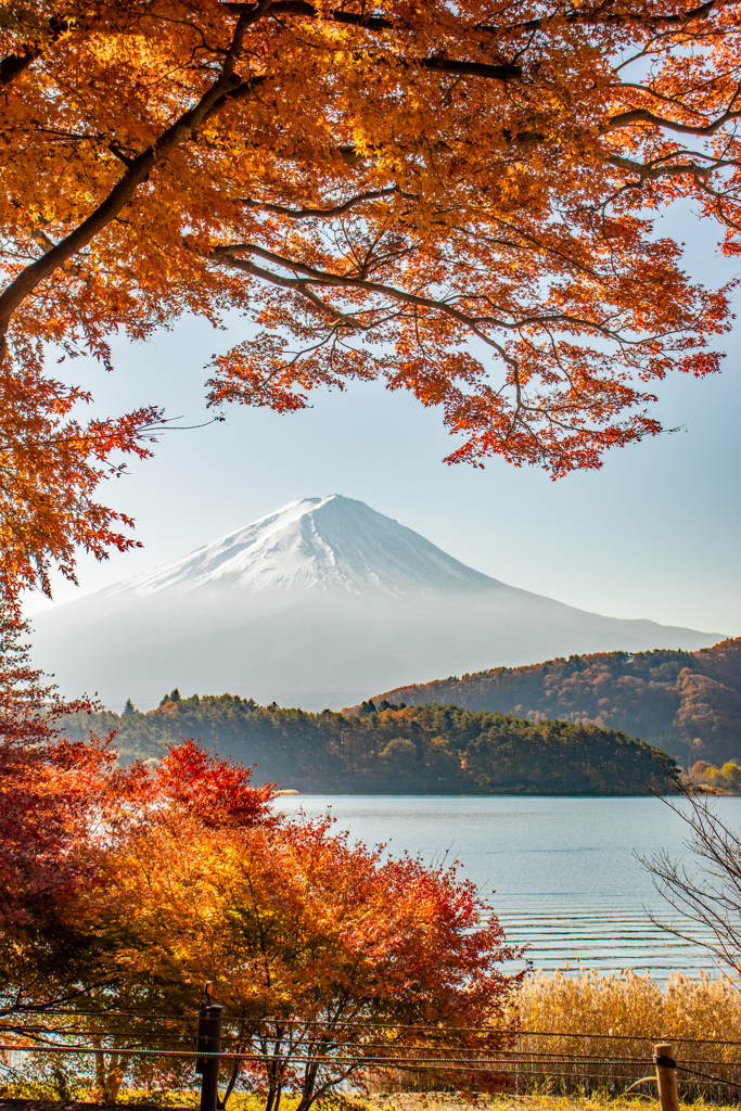 日本の秋