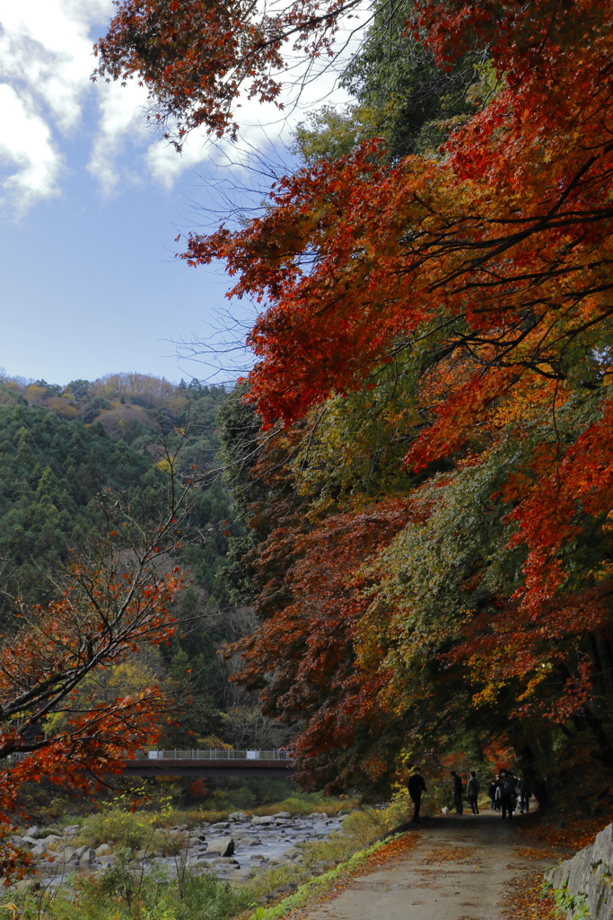 晩秋の香嵐渓