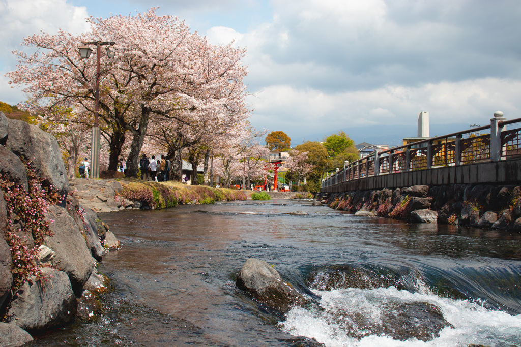 春の公園