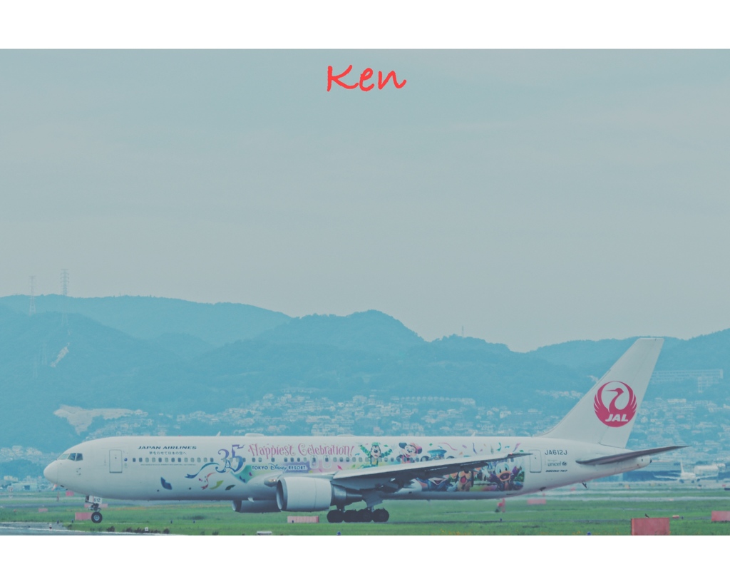 ディズニー塗装  ボーイング 767-300ER