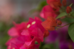 Gradation