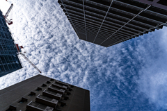 朝の空、雲多し