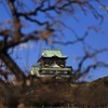 大阪城、春を待つ