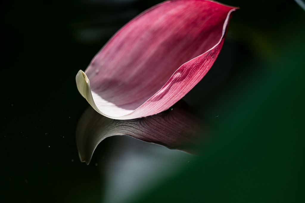 水鏡