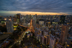 TOKYO twilight