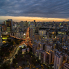 TOKYO twilight