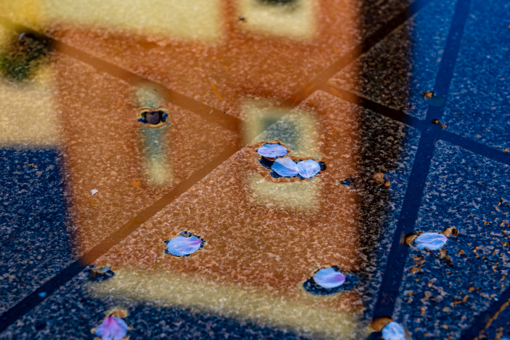 雨上がり