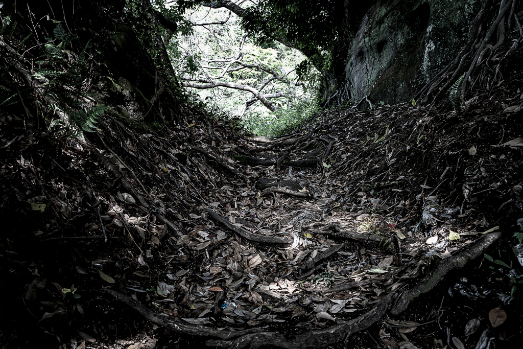 道　険し