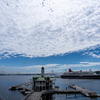 横浜初夏景