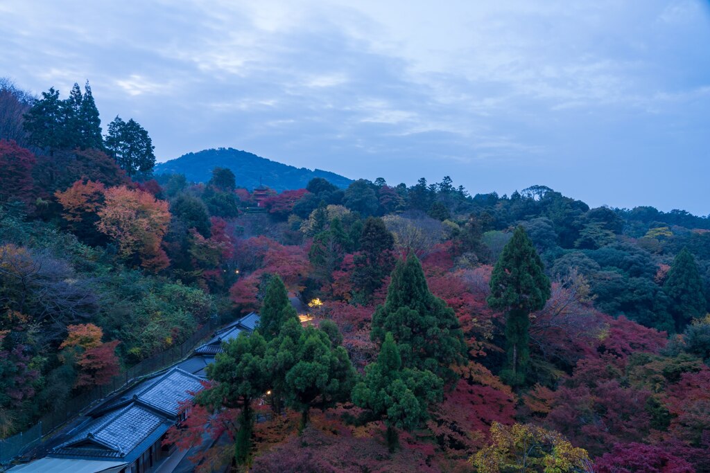 清水寺からの紅葉