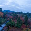 清水寺からの紅葉