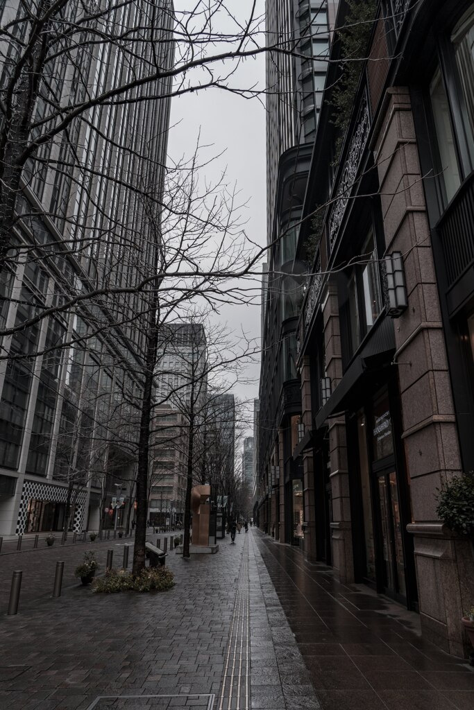 Street after the rain