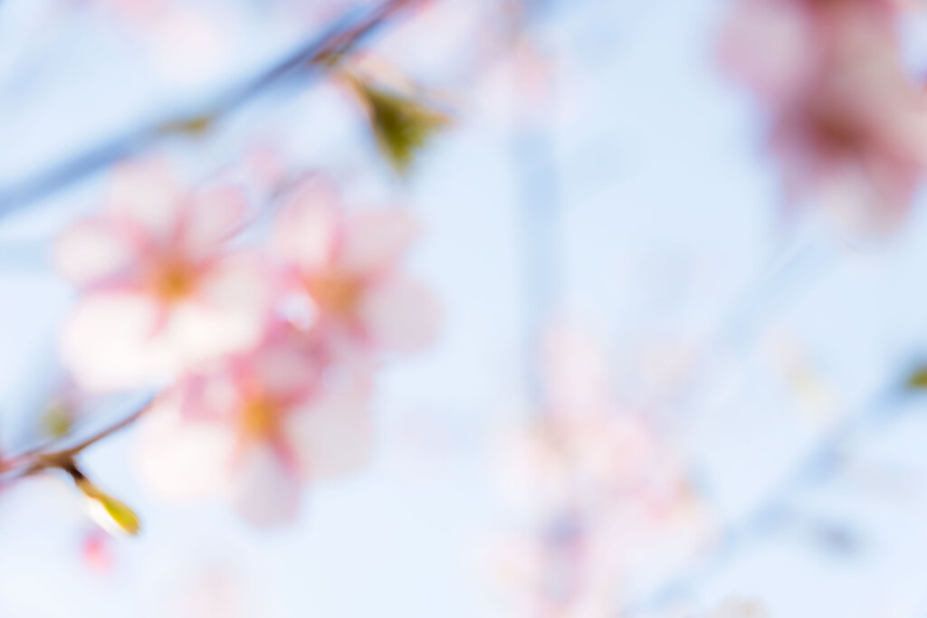朧げ