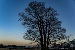 Light Blue Moment