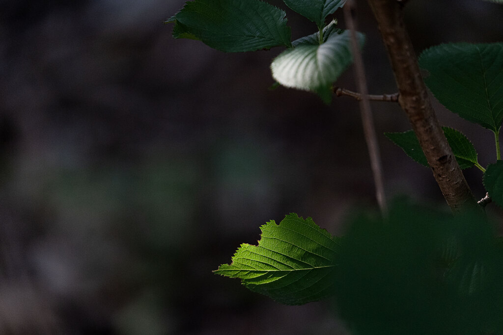 静寂