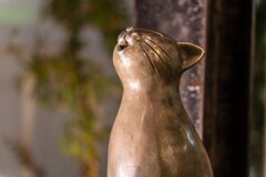 吠える猫
