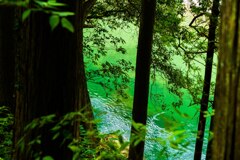 清流を臨んで